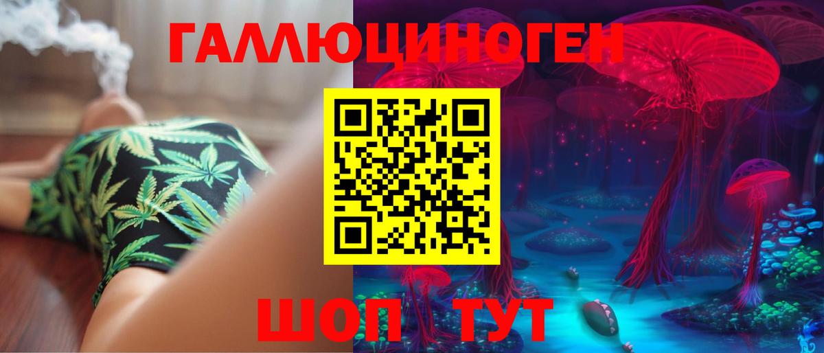 Псилоцибиновые грибы Psilocybine cubensis Звенигород